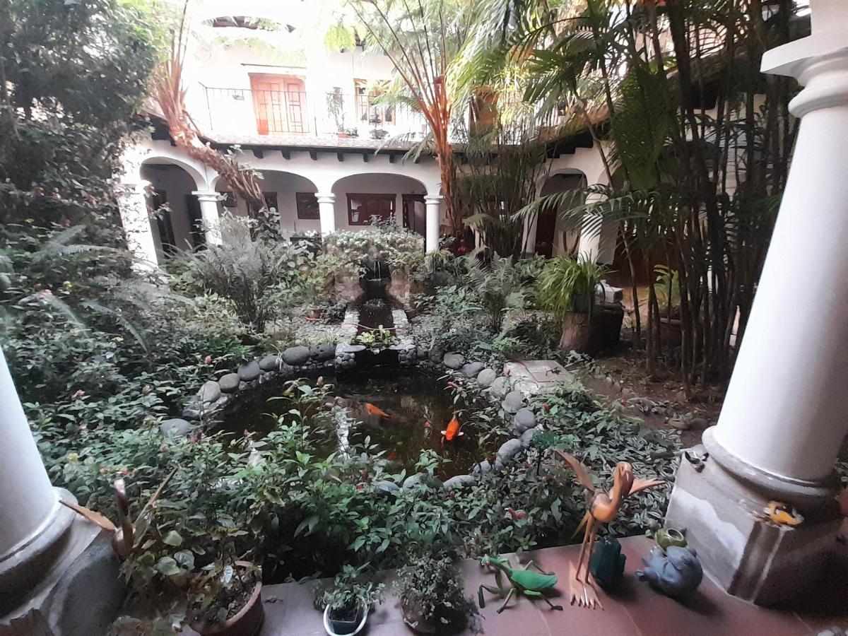 Hotel Y Jardines Casa Buho Antigua Bagian luar foto