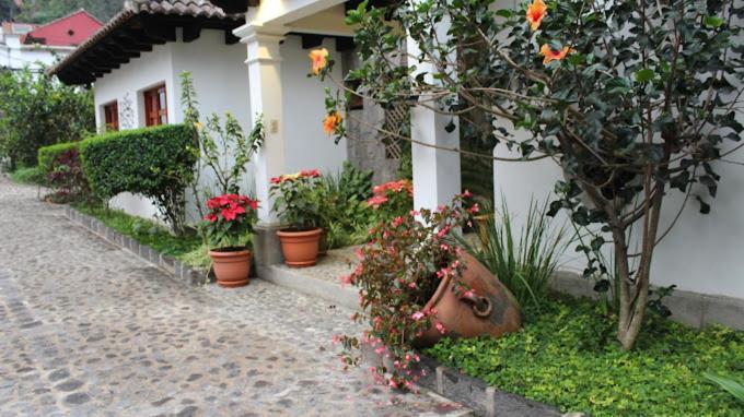 Hotel Y Jardines Casa Buho Antigua Bagian luar foto